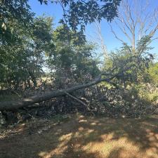 Tree-Removal-and-Sawmill-Services-project-in-Sudlersville-MD 0